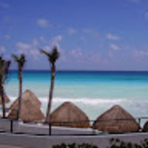 Meet your Posher, Steve